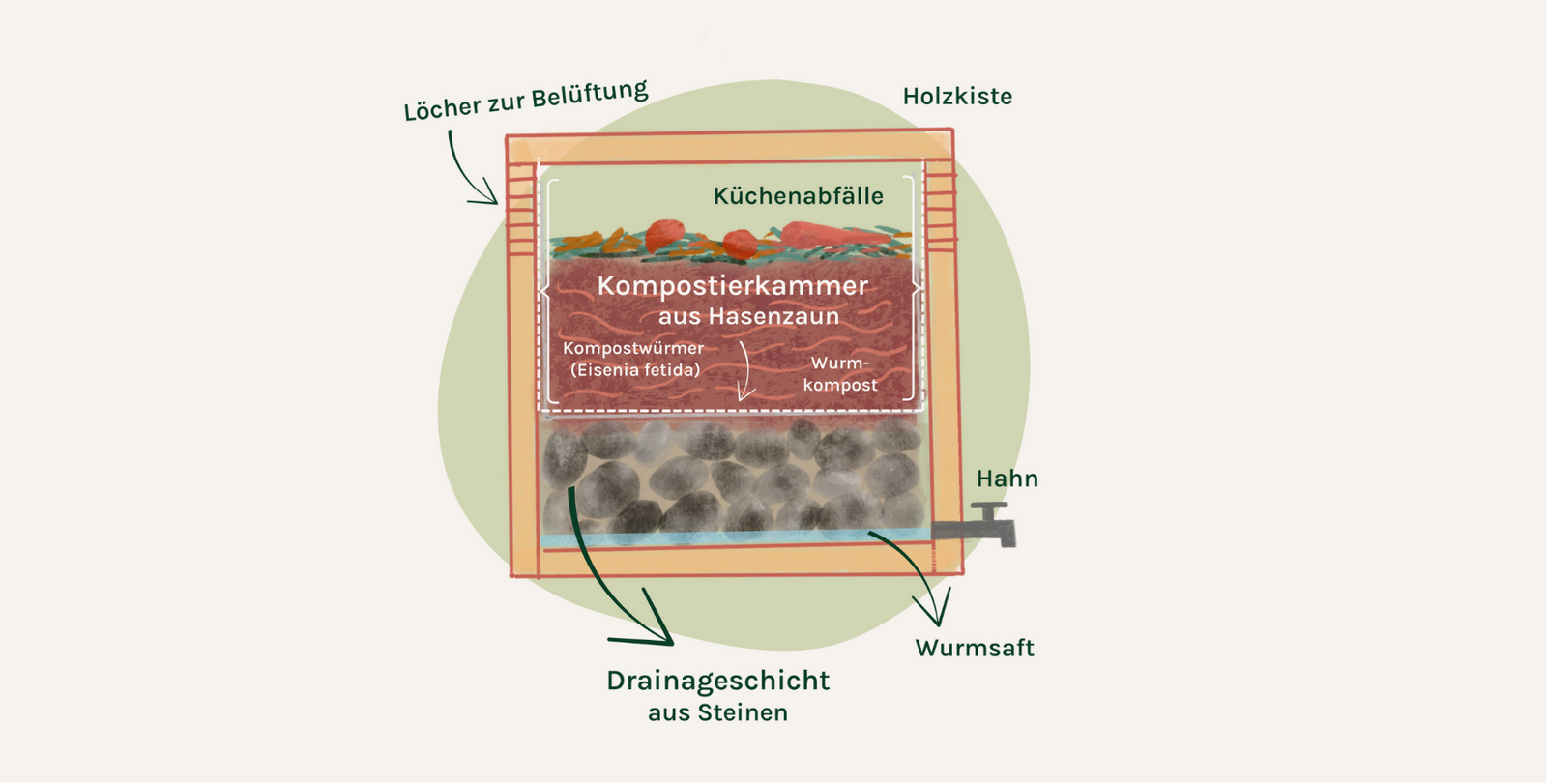 Wurmkompost Aufbau
