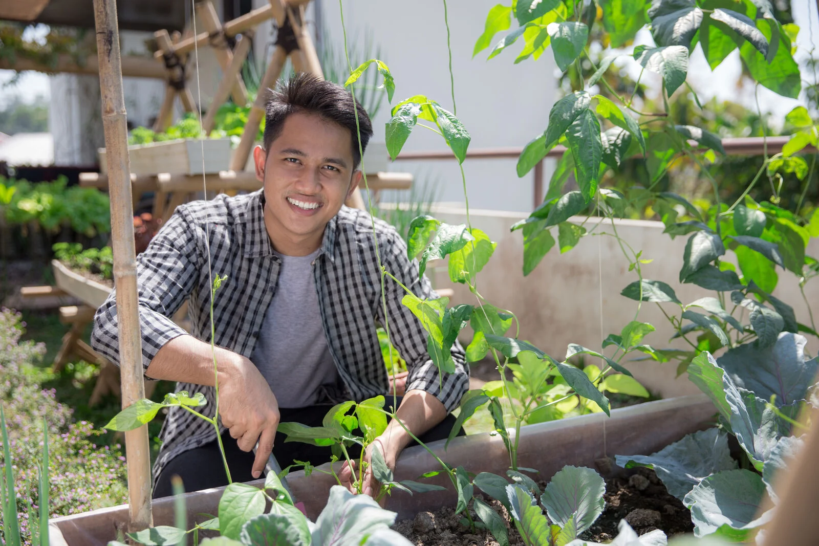 Growing vegetables vertically