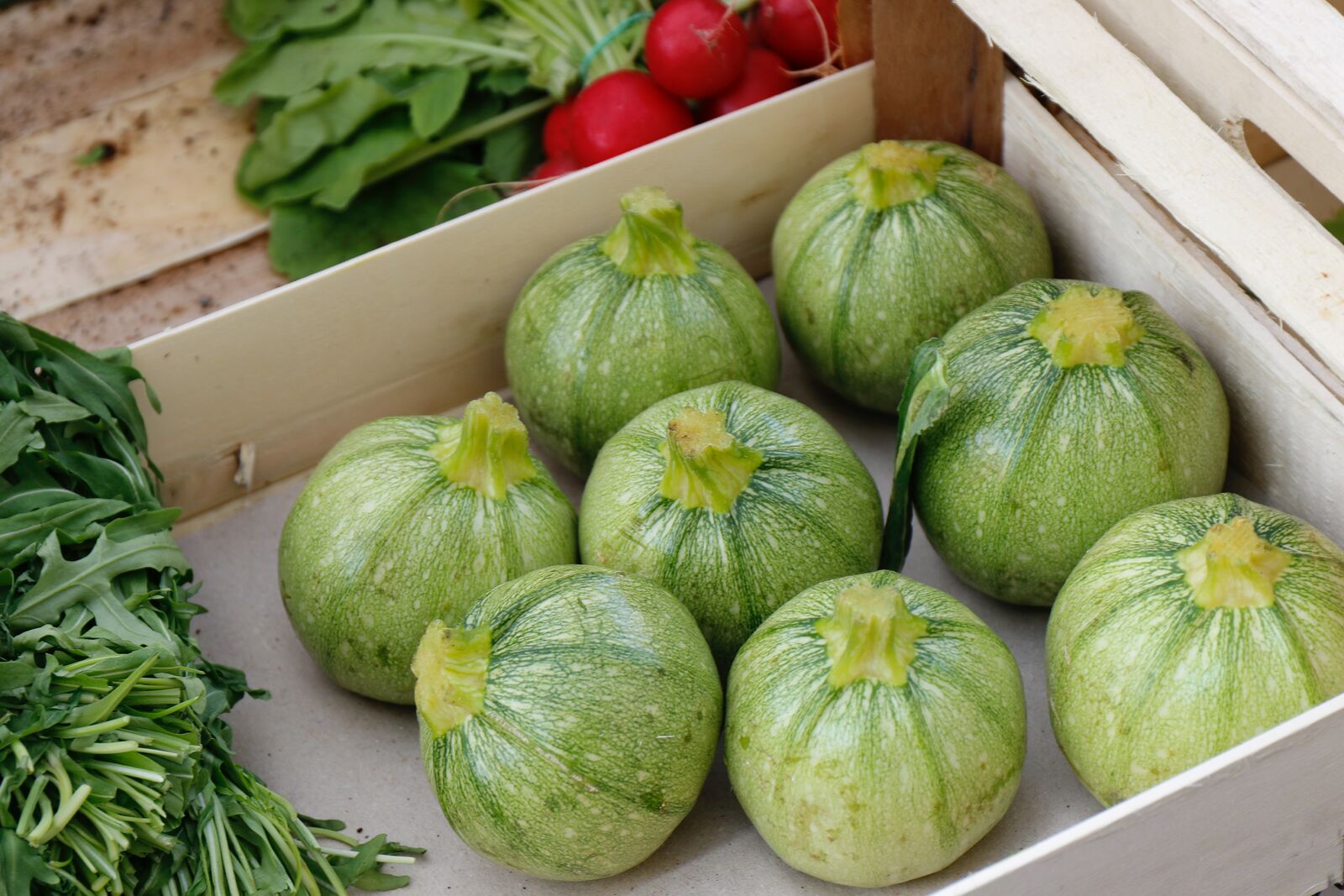 Round courgettes