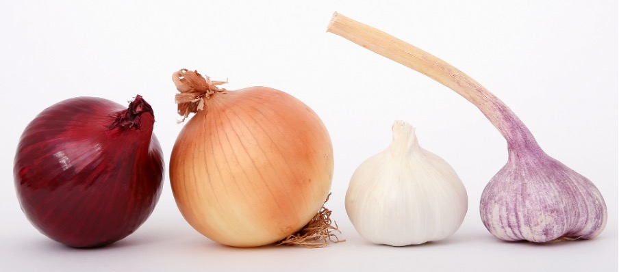 Onions Garlic good neighbours