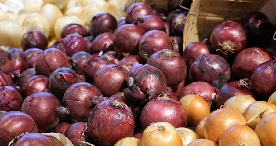 Onion varieties