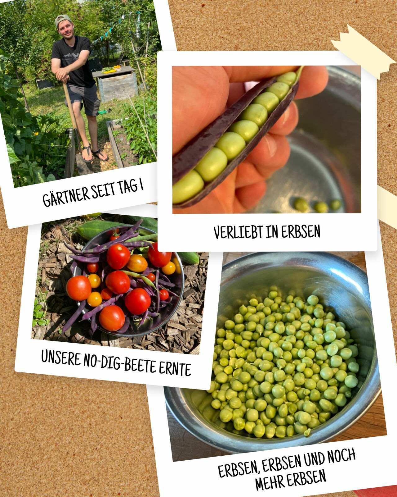 Portrait von Florian