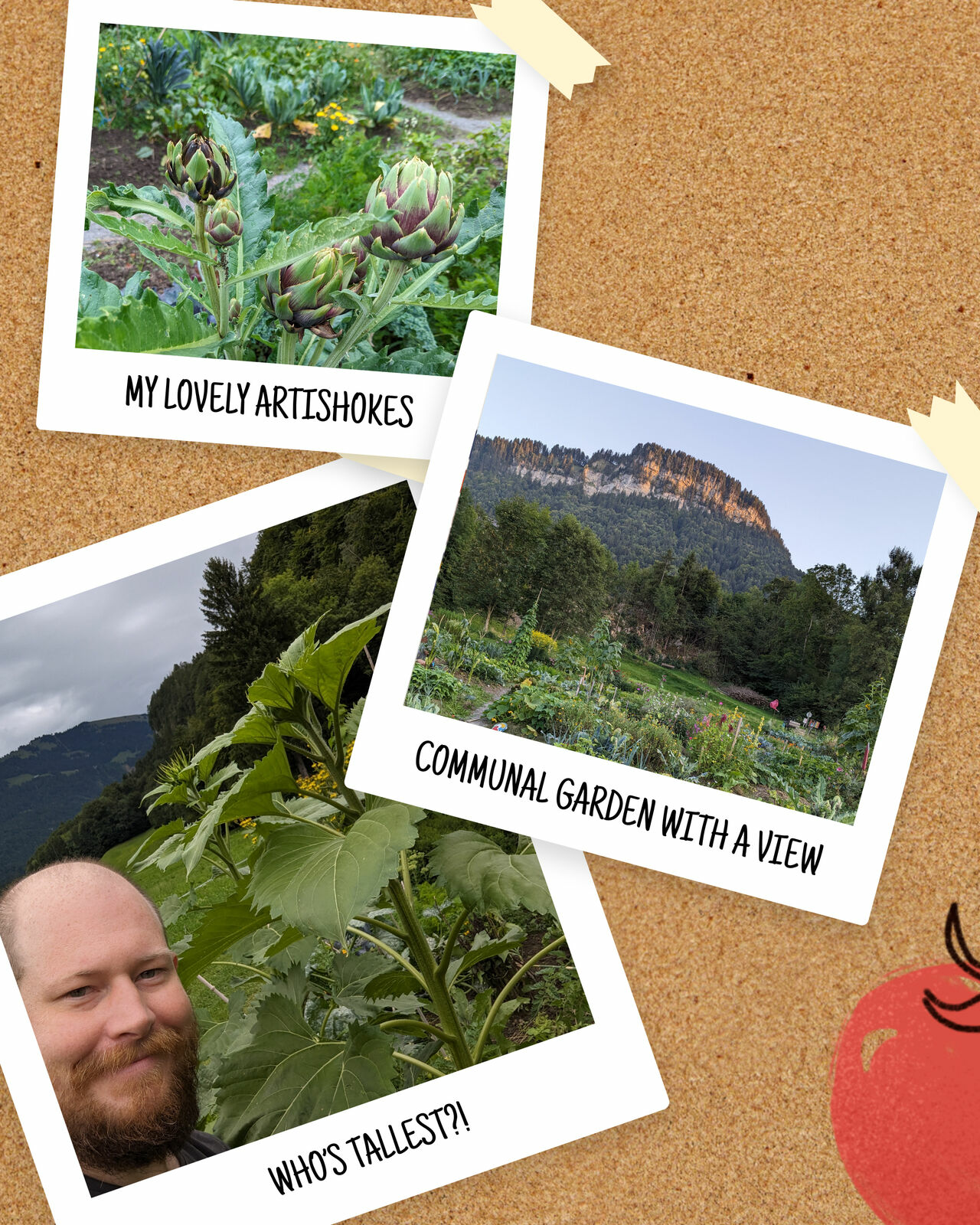 Portrait von Steffen