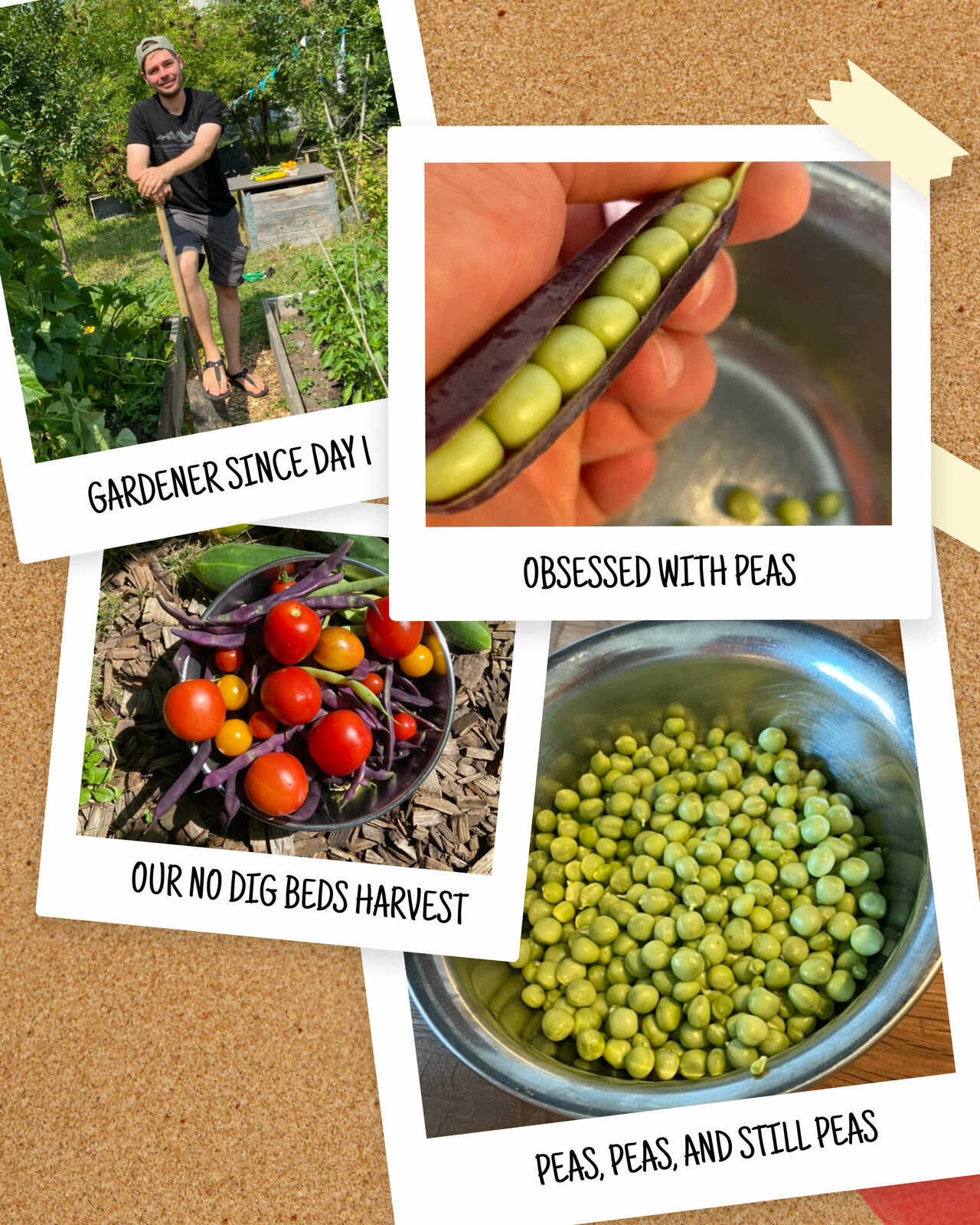 Portrait von Florian