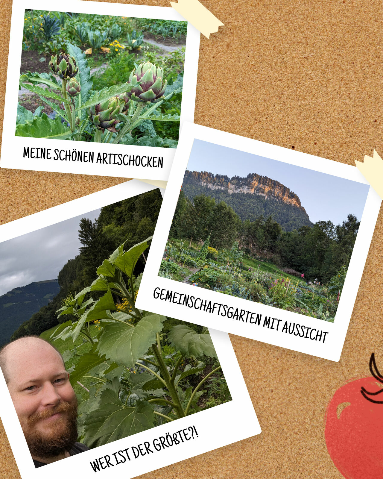 Portrait von Steffen